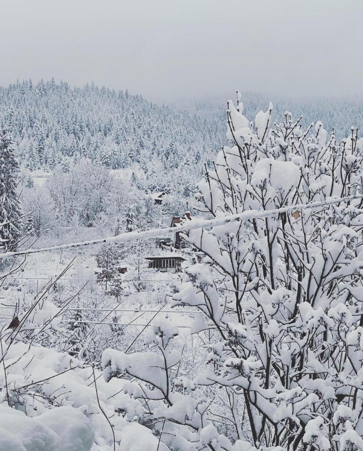 Zabava Apartment Yaremche Bagian luar foto