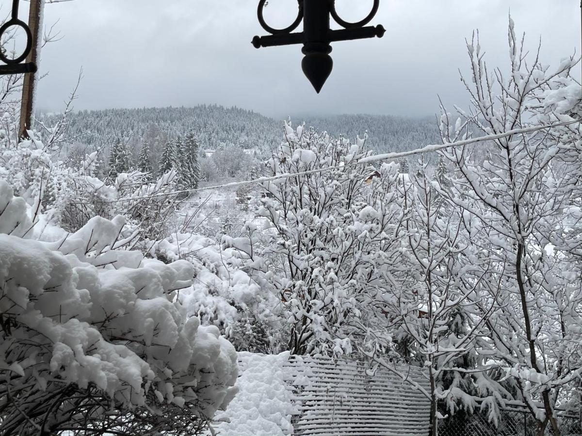 Zabava Apartment Yaremche Bagian luar foto