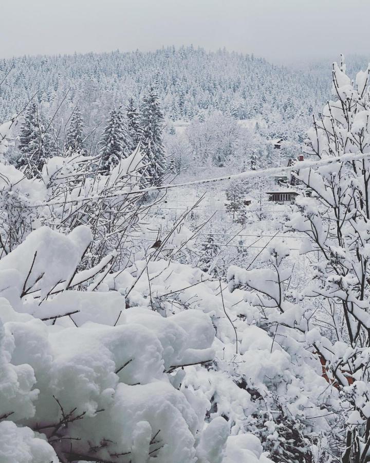 Zabava Apartment Yaremche Bagian luar foto