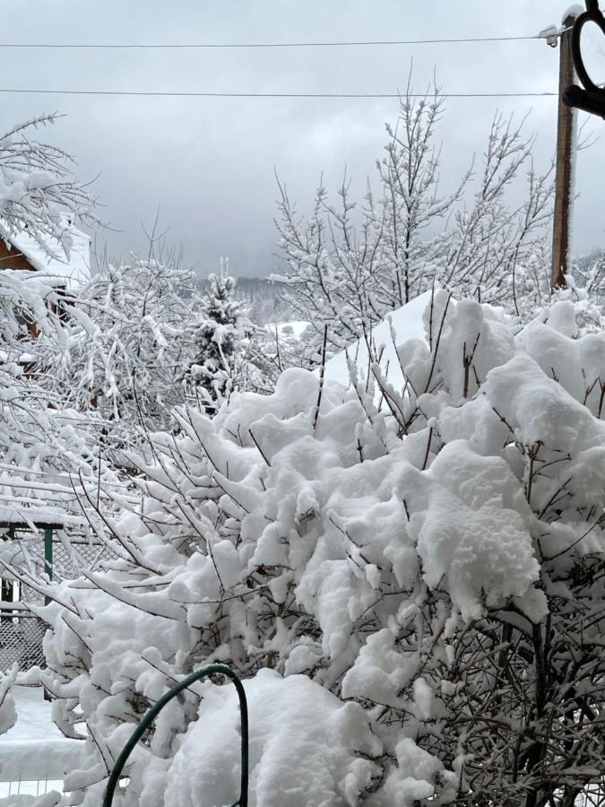 Zabava Apartment Yaremche Bagian luar foto