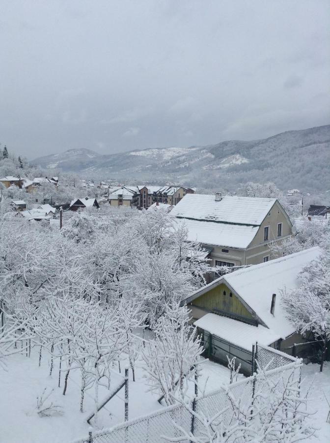 Zabava Apartment Yaremche Bagian luar foto
