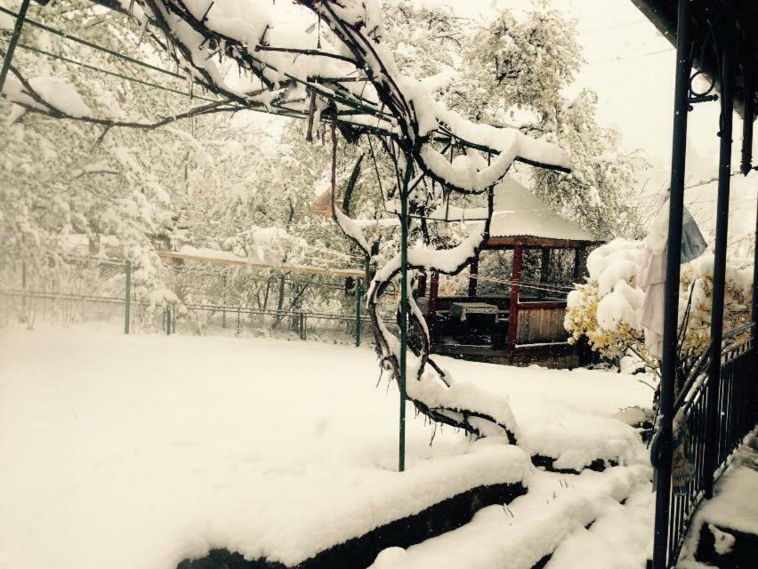 Zabava Apartment Yaremche Bagian luar foto
