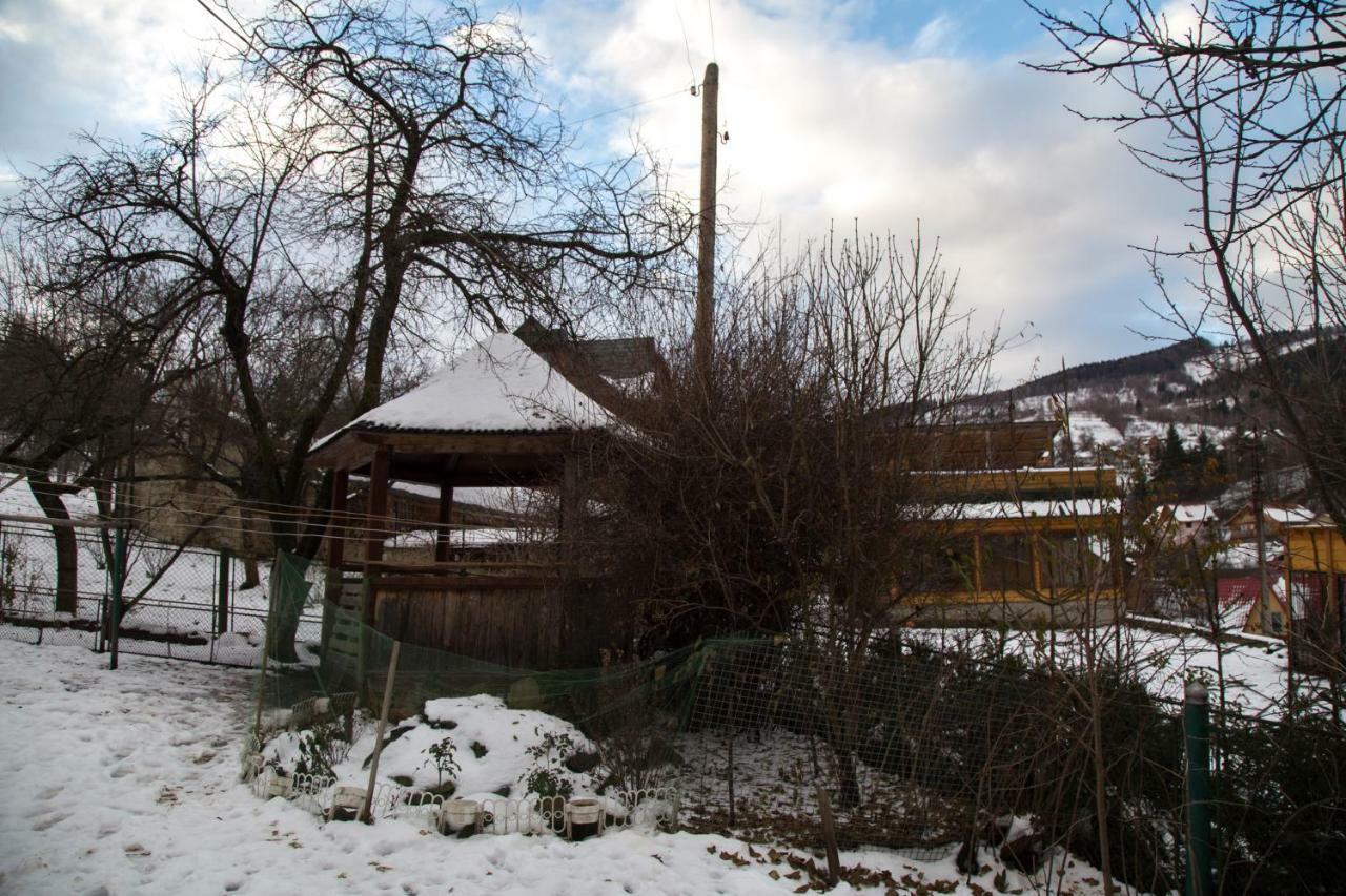 Zabava Apartment Yaremche Bagian luar foto
